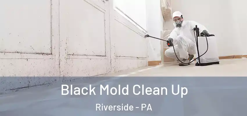  Black Mold Clean Up Riverside - PA