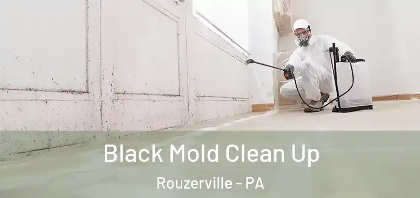 Black Mold Clean Up Rouzerville - PA