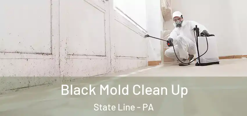 Black Mold Clean Up State Line - PA