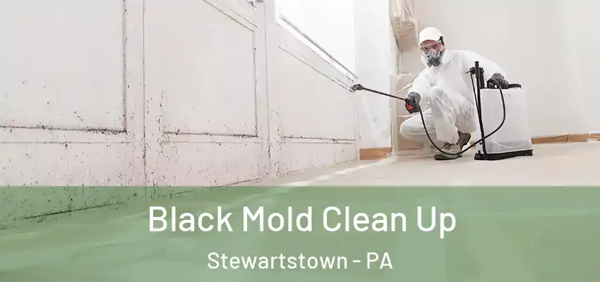 Black Mold Clean Up Stewartstown - PA