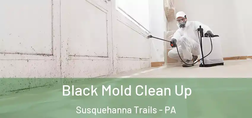 Black Mold Clean Up Susquehanna Trails - PA