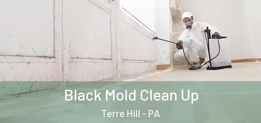  Black Mold Clean Up Terre Hill - PA