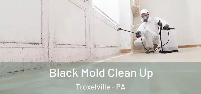  Black Mold Clean Up Troxelville - PA