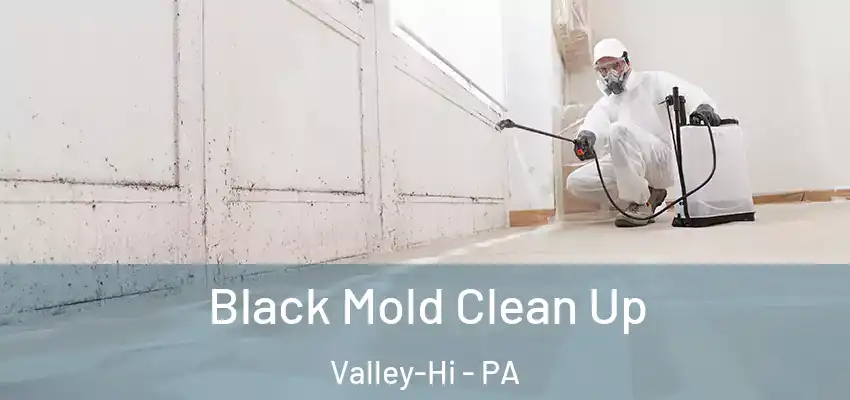  Black Mold Clean Up Valley-Hi - PA