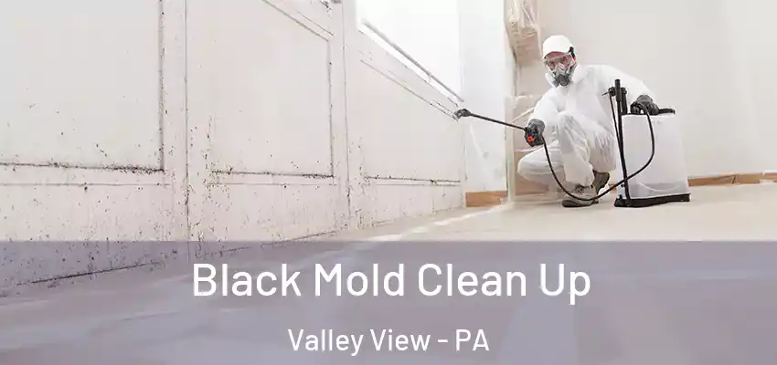  Black Mold Clean Up Valley View - PA