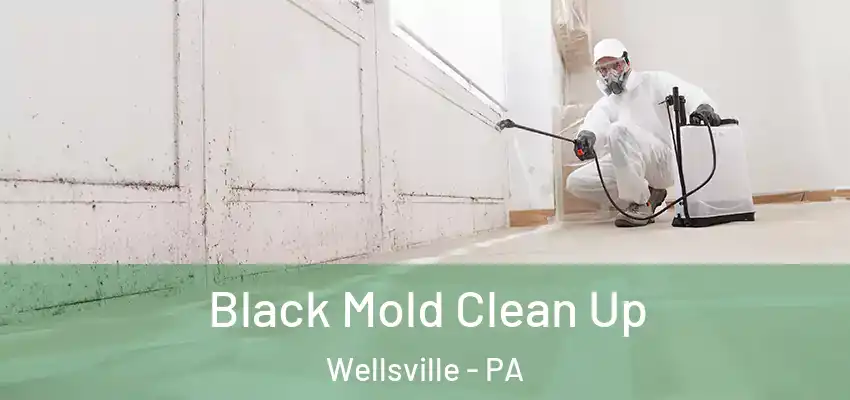 Black Mold Clean Up Wellsville - PA