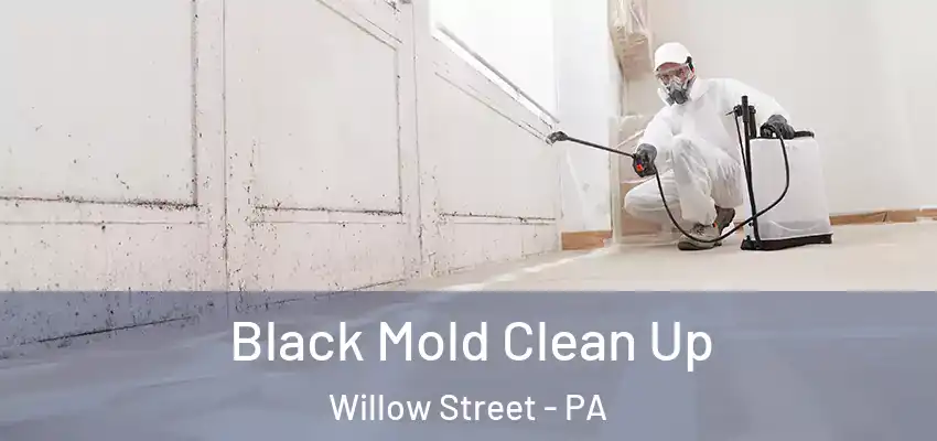Black Mold Clean Up Willow Street - PA