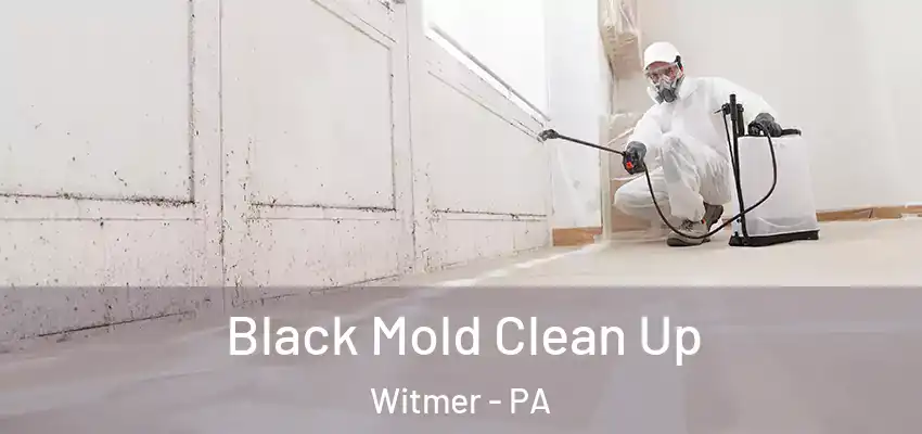  Black Mold Clean Up Witmer - PA