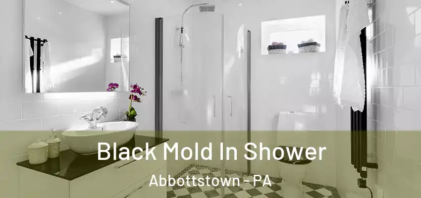  Black Mold In Shower Abbottstown - PA