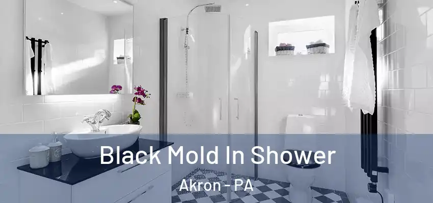 Black Mold In Shower Akron - PA