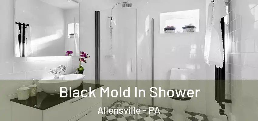 Black Mold In Shower Allensville - PA