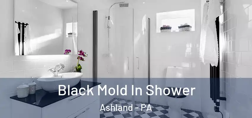 Black Mold In Shower Ashland - PA