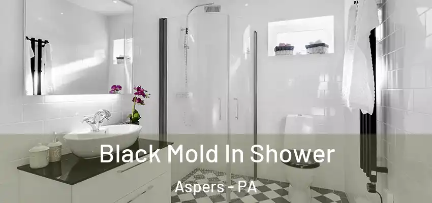 Black Mold In Shower Aspers - PA