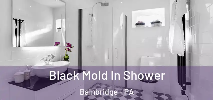  Black Mold In Shower Bainbridge - PA