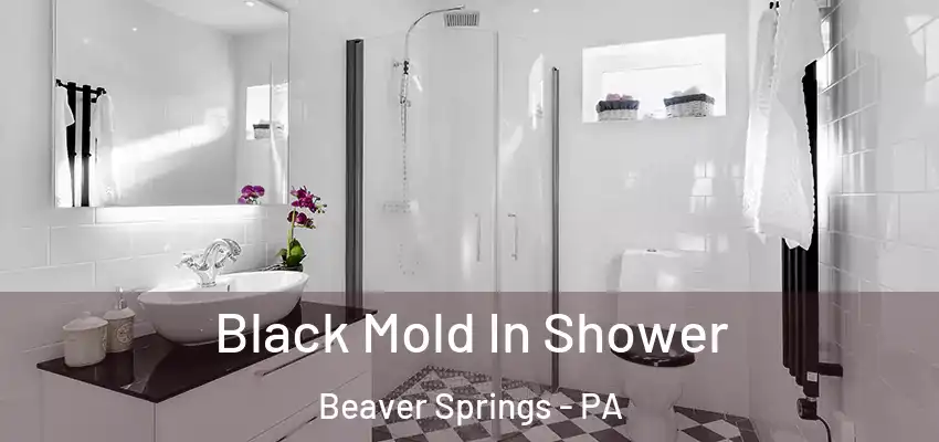 Black Mold In Shower Beaver Springs - PA