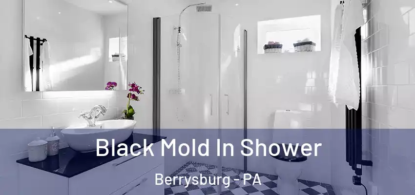 Black Mold In Shower Berrysburg - PA