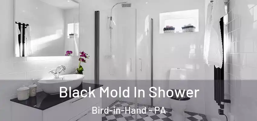  Black Mold In Shower Bird-in-Hand - PA