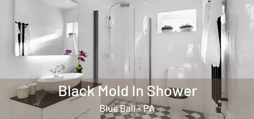 Black Mold In Shower Blue Ball - PA