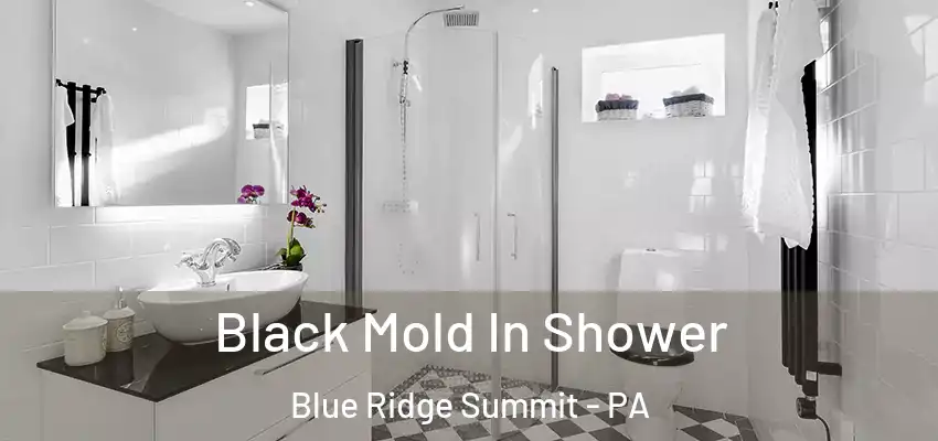 Black Mold In Shower Blue Ridge Summit - PA