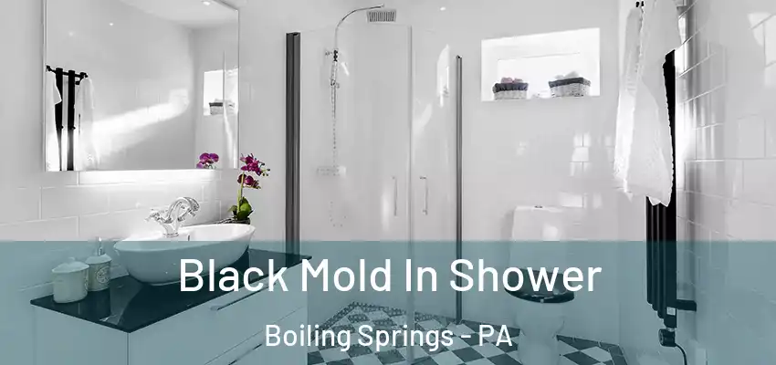  Black Mold In Shower Boiling Springs - PA