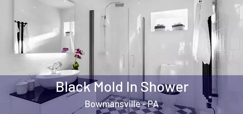  Black Mold In Shower Bowmansville - PA