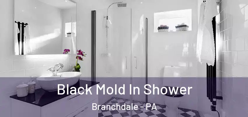 Black Mold In Shower Branchdale - PA