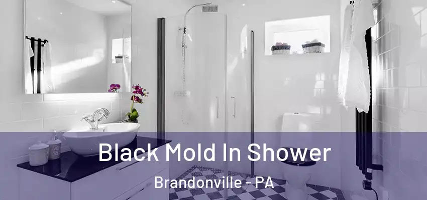  Black Mold In Shower Brandonville - PA