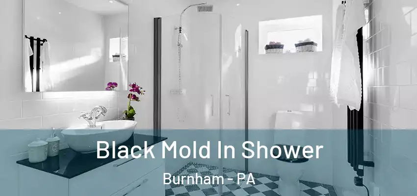  Black Mold In Shower Burnham - PA