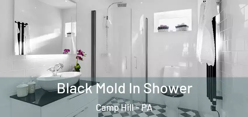 Black Mold In Shower Camp Hill - PA