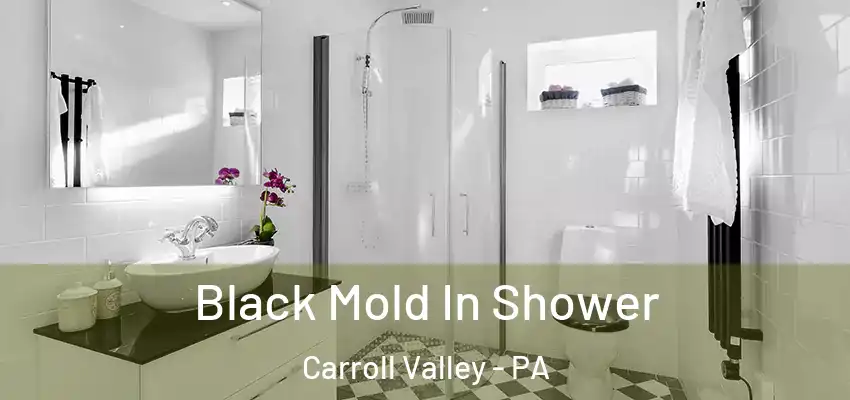 Black Mold In Shower Carroll Valley - PA