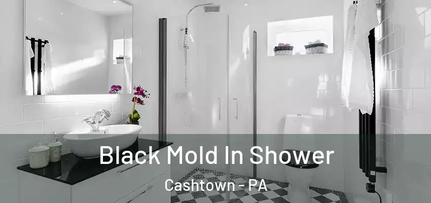 Black Mold In Shower Cashtown - PA