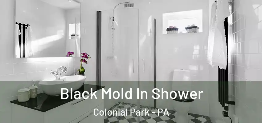 Black Mold In Shower Colonial Park - PA