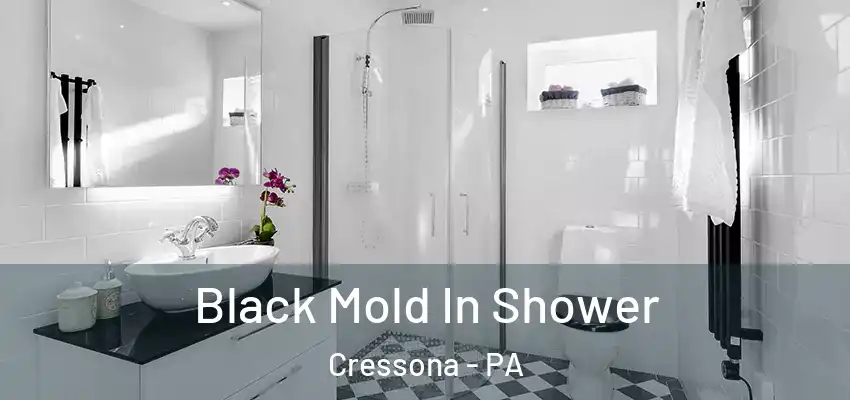  Black Mold In Shower Cressona - PA