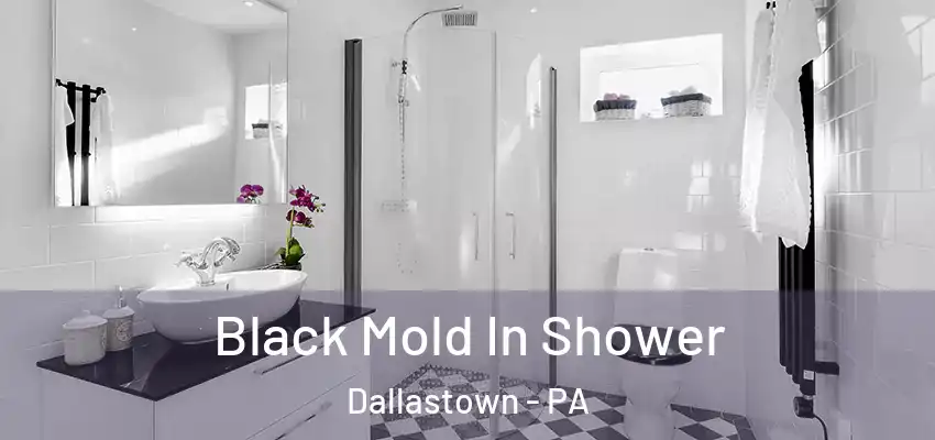 Black Mold In Shower Dallastown - PA