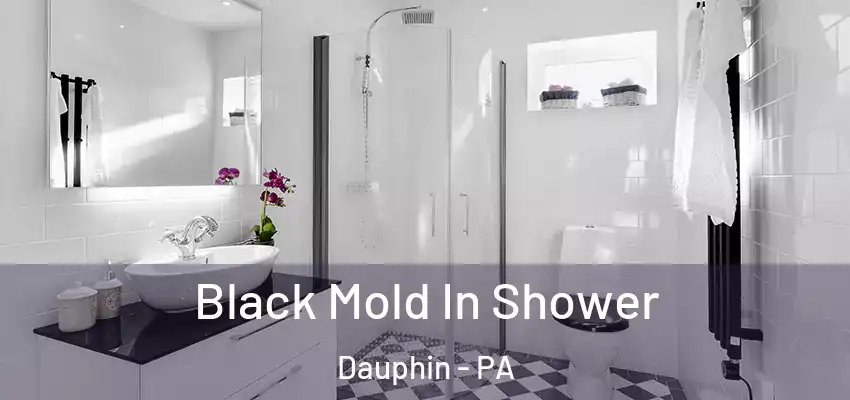  Black Mold In Shower Dauphin - PA