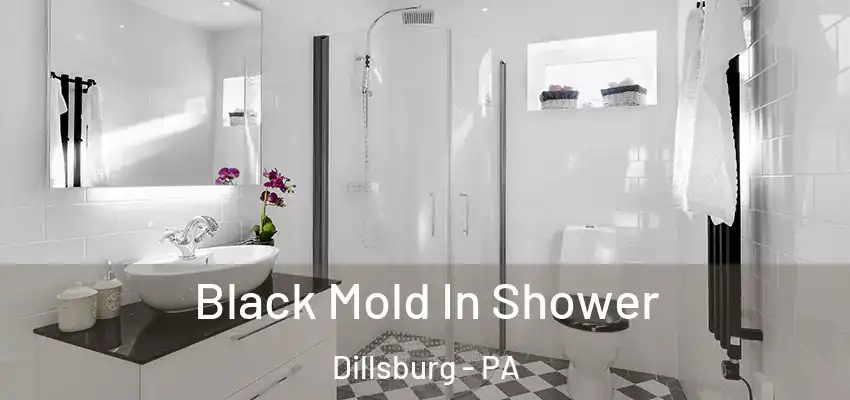  Black Mold In Shower Dillsburg - PA