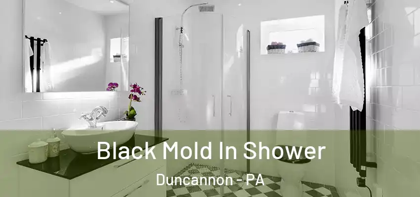  Black Mold In Shower Duncannon - PA