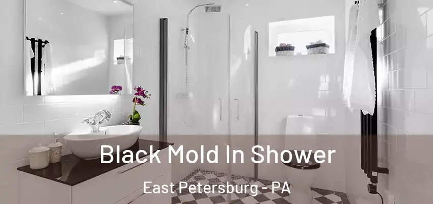 Black Mold In Shower East Petersburg - PA