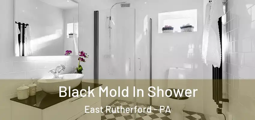 Black Mold In Shower East Rutherford - PA
