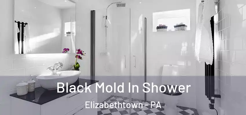 Black Mold In Shower Elizabethtown - PA