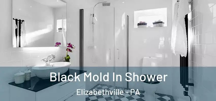 Black Mold In Shower Elizabethville - PA