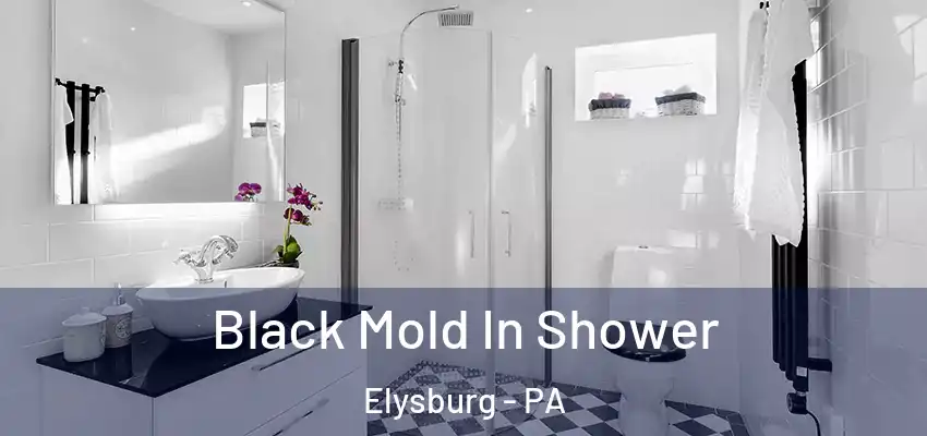 Black Mold In Shower Elysburg - PA