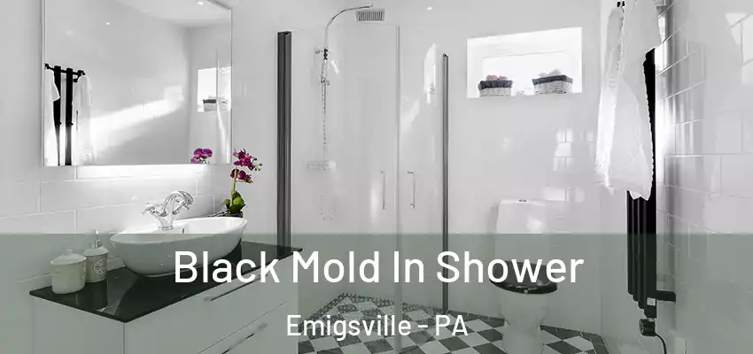 Black Mold In Shower Emigsville - PA