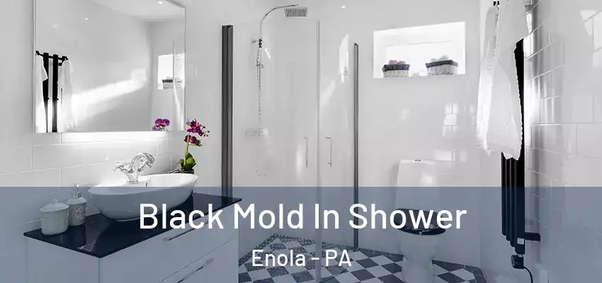 Black Mold In Shower Enola - PA