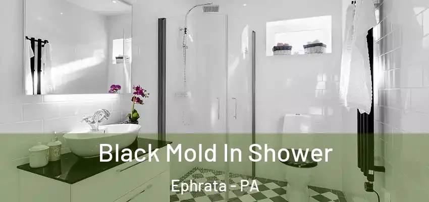 Black Mold In Shower Ephrata - PA