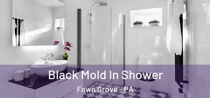  Black Mold In Shower Fawn Grove - PA