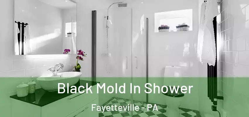 Black Mold In Shower Fayetteville - PA