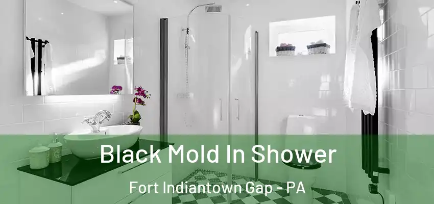 Black Mold In Shower Fort Indiantown Gap - PA