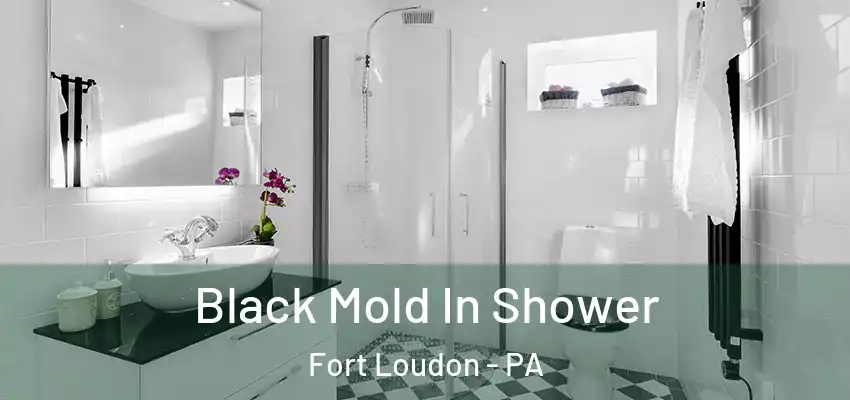 Black Mold In Shower Fort Loudon - PA