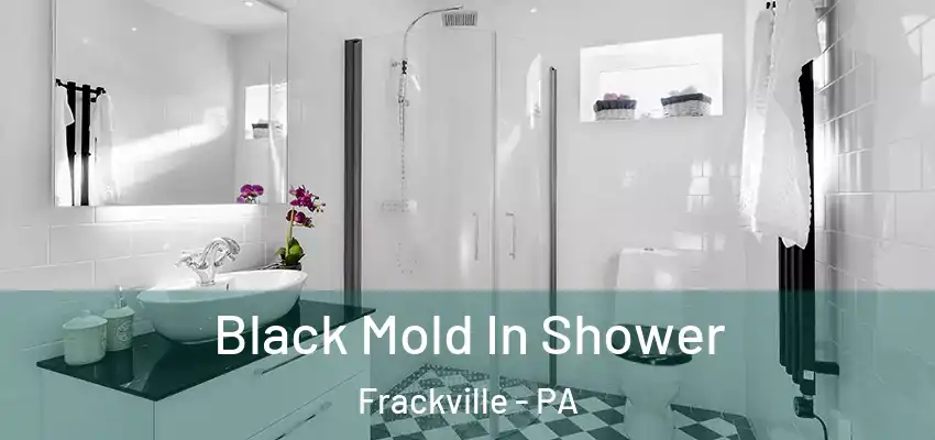  Black Mold In Shower Frackville - PA
